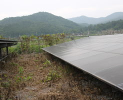 太陽光発電,除草効果